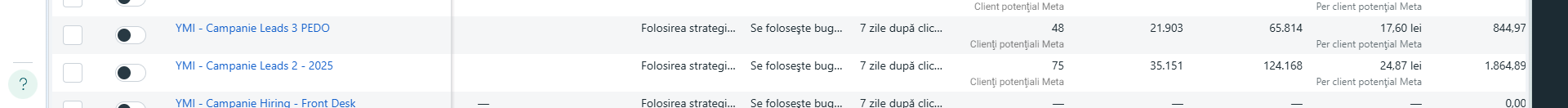 Rezultat campanie Meta Ads 2